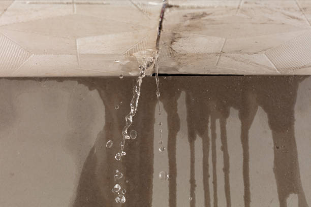 Professional Water Damage Repair technician working in Wedgefield, FL